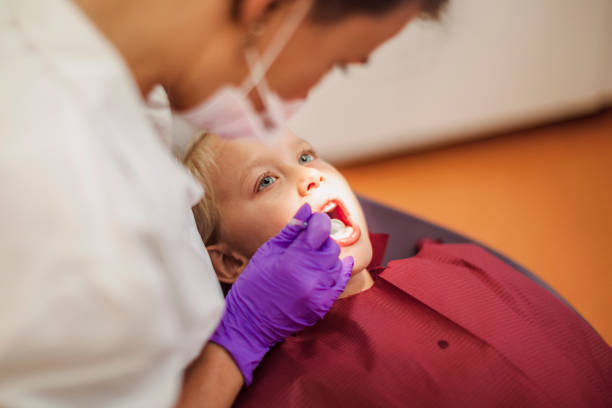 Best Emergency Dental Care for Broken or Chipped Teeth in Cheval, FL